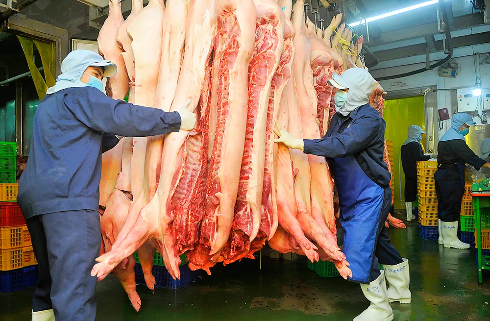 Hàng tết nhiều và đa dạng ảnh 3 Hàng tết nhiều và đa dạng ảnh 3