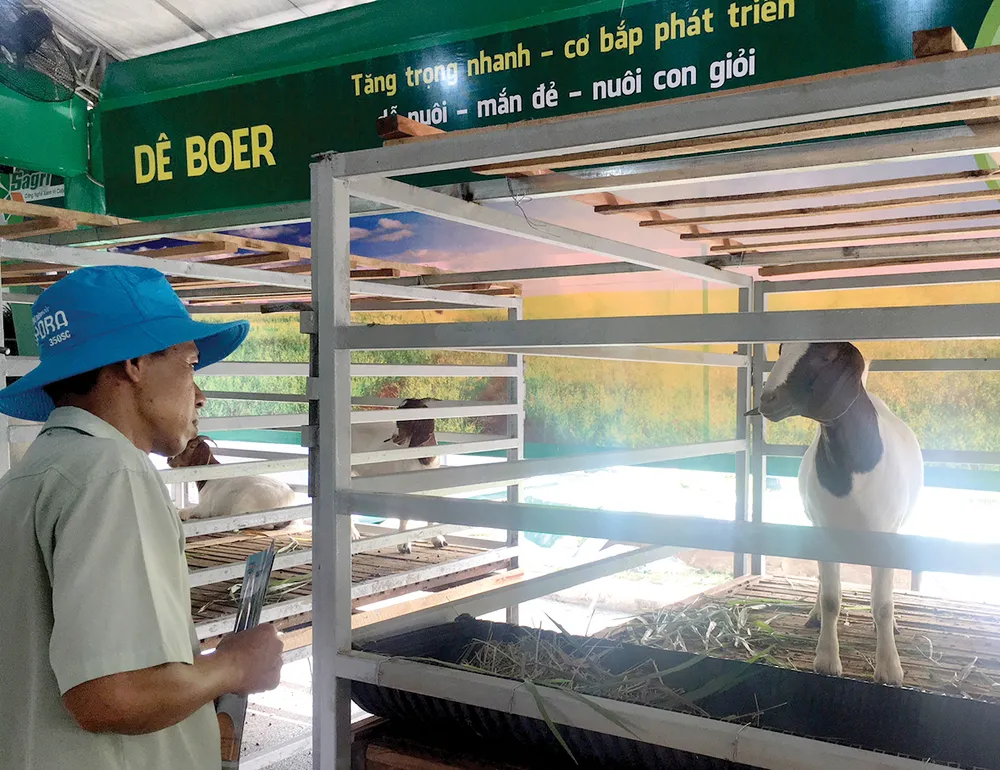 Nhiều giống mới, chất lượng cao ảnh 3 Nhiều giống mới, chất lượng cao ảnh 3
