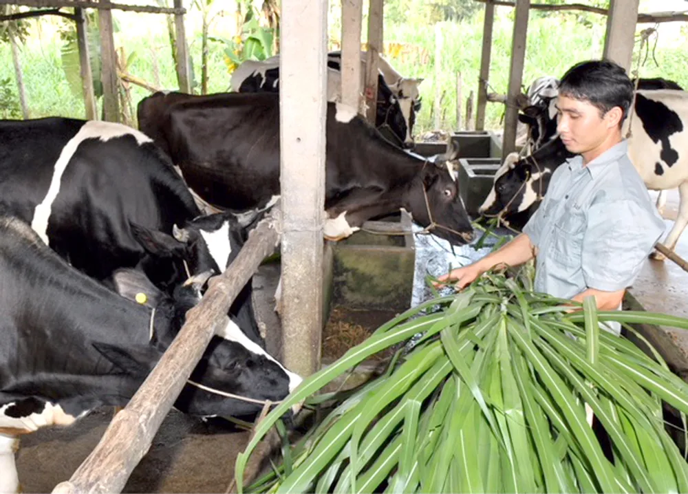 Tăng tỷ lệ bao phủ BHXH ở Việt Nam, chủ yếu là tăng số người ở khu vực lao động phi chính thức tham gia BHXH tự nguyện. Ảnh: VIỆT DŨNG