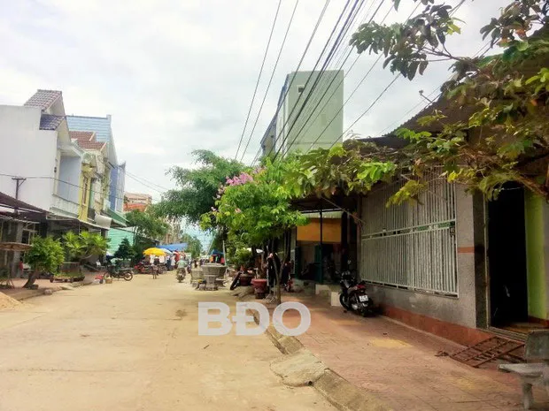 Hàng loạt sai phạm trong giao đất, cho thuê đất và sử dụng đất trên địa bàn xã Mỹ An, huyện Phù Mỹ. Ảnh: baobinhdinh.com.vn