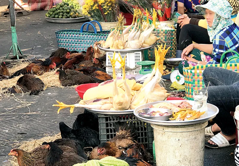 Thực phẩm tươi sống được bày bán la liệt dưới lòng đường khu chợ Hòa Bình. Ảnh: HOÀNG HÙNG