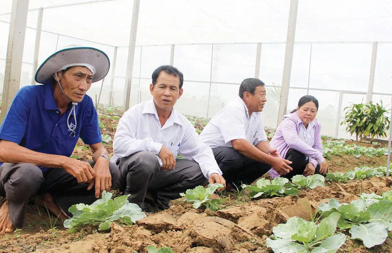 Tham quan mô hình kinh tế hiệu quả của nông dân Sóc Trăng. Ảnh: TUẤN QUANG