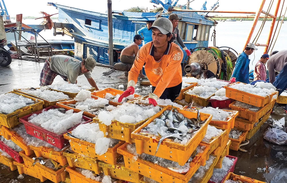 Thủy sản tại cảng Cát Lở (phường 11, TP Vũng Tàu) ​