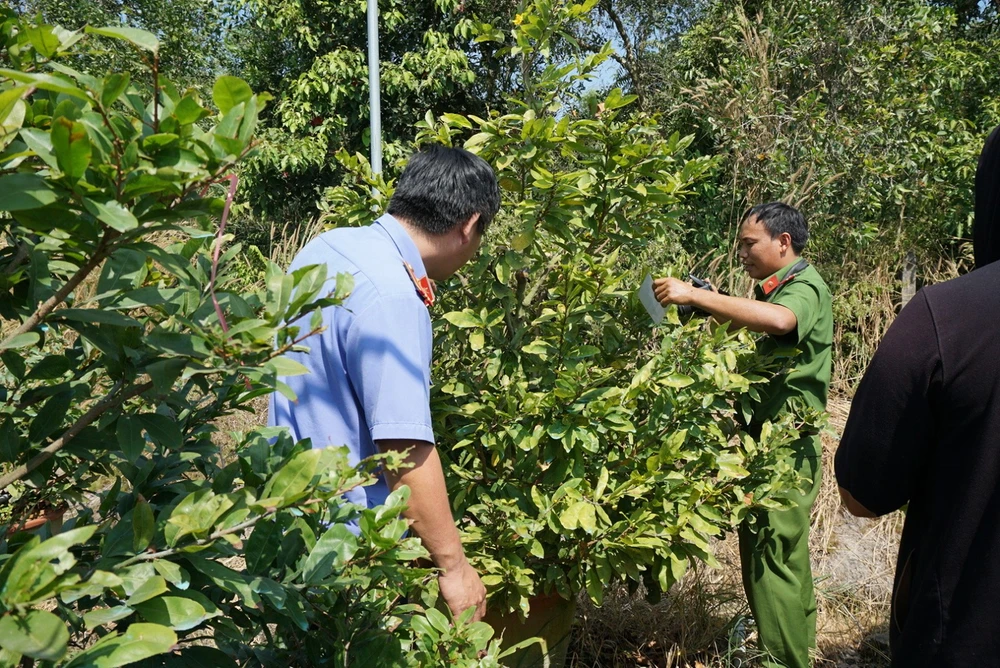 Công an TX.Bến Cát kết hợp với chính quyền địa phương điều tra làm rõ vụ việc. Ảnh: Báo Bình Dương