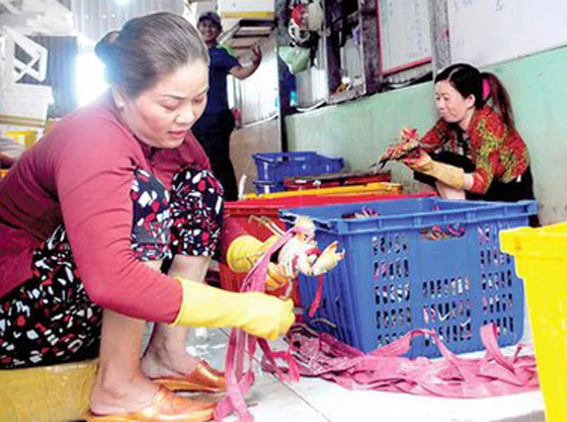 Trước Tết Canh Tý 2020, giá cua biển trên thị trường Cà Mau khá cao