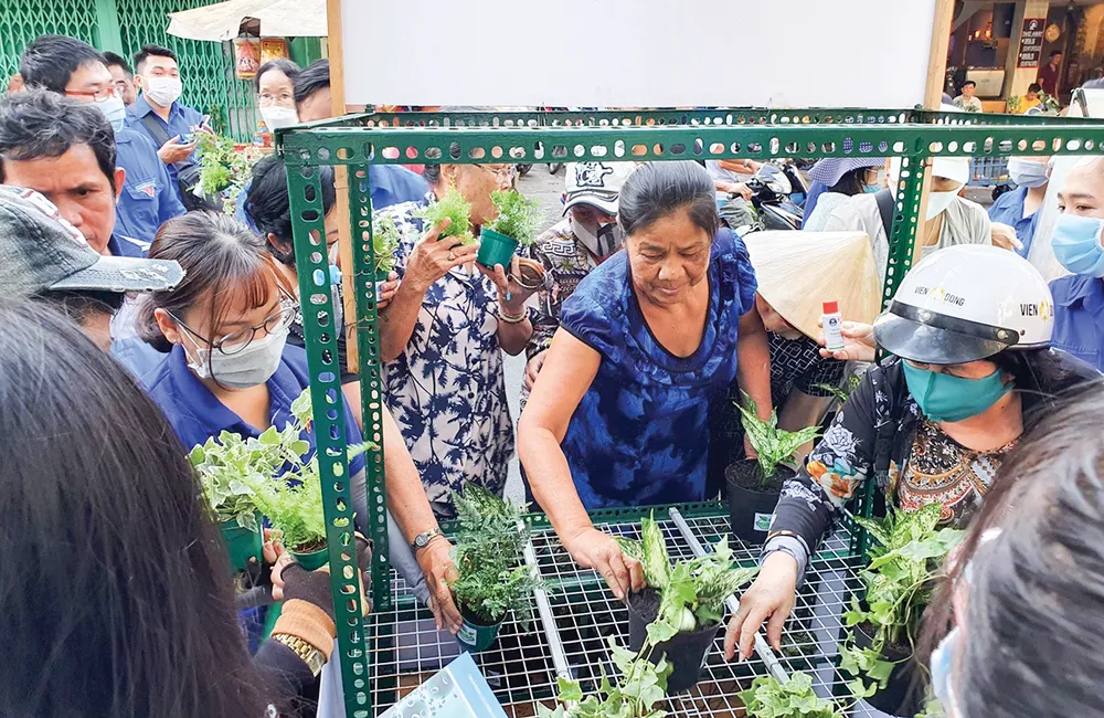Người dân phường 1, quận 3 nhận cây xanh miễn phí từ chương trình “Chuyến xe xanh 2020”