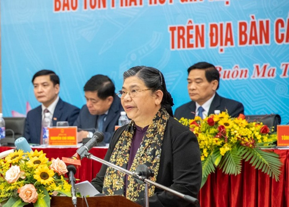 Phó Chủ tịch Thường trực Quốc hội Tòng Thị Phóng phát biểu tại Hội thảo. Ảnh: Baodantoc.vn