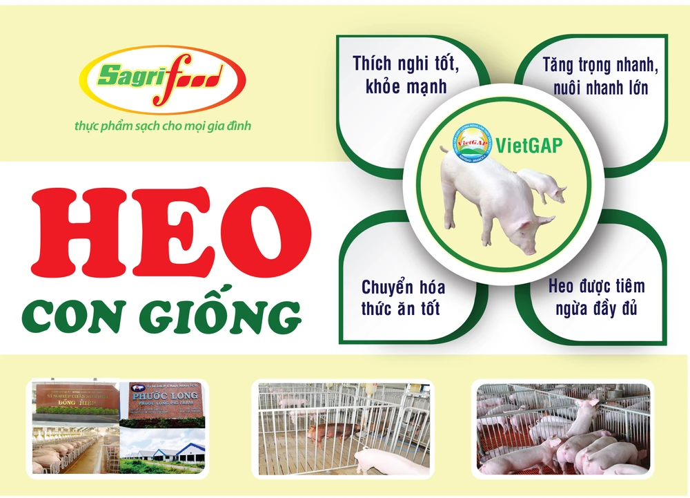 Chọn con giống tốt giảm thiểu rủi ro từ đơn vị lâu năm