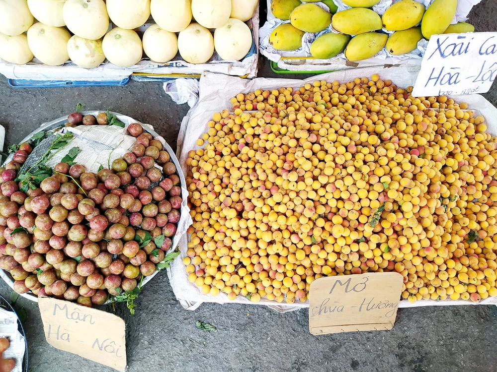 Mùa này, mơ - mận hậu được bày bán khắp các chợ đặc sản miền Bắc ở TPHCM