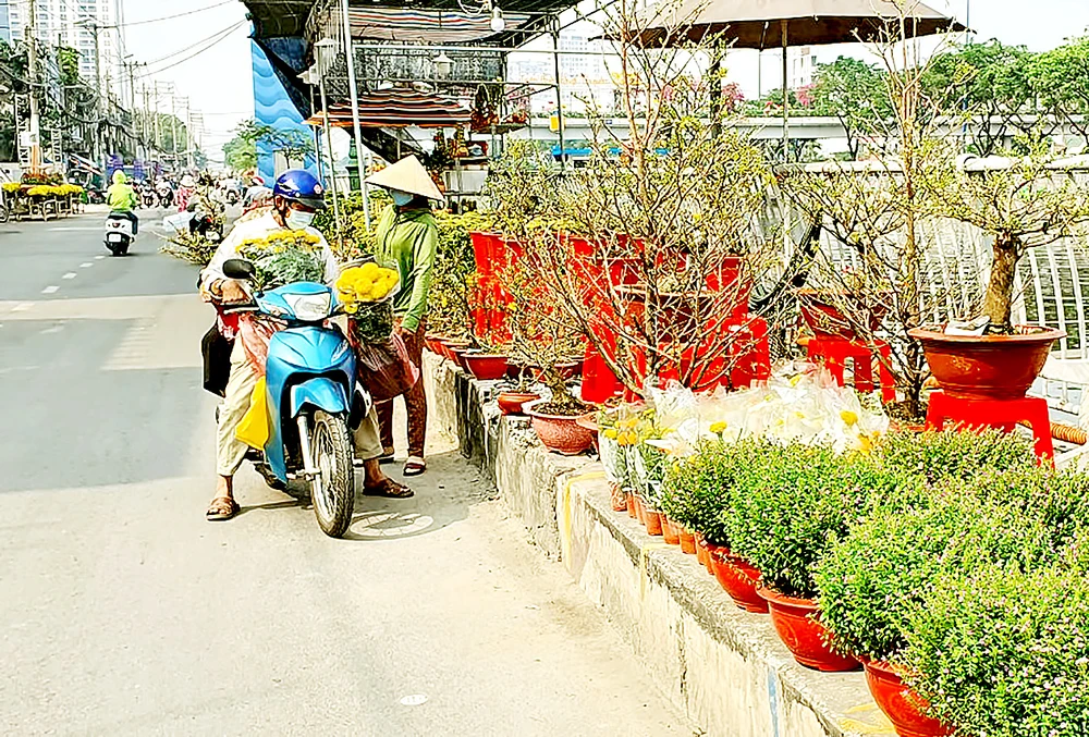 Đường phố ngập tràn sắc màu ngày tết