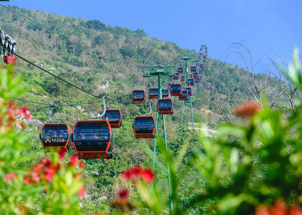 Hàng trăm ngàn du khách nô nức lên ngắm hoa tulip lần đầu xuất hiện trên đỉnh Núi Bà Tây Ninh ảnh 3 Hàng trăm ngàn du khách nô nức lên ngắm hoa tulip lần đầu xuất hiện trên đỉnh Núi Bà Tây Ninh ảnh 3