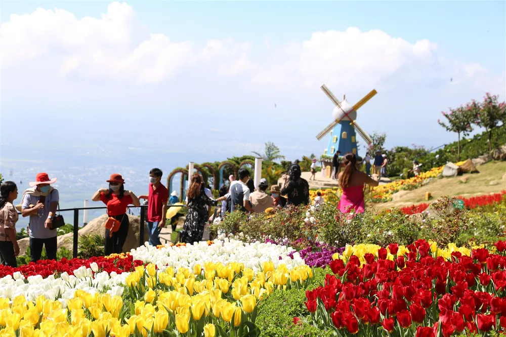 Hàng trăm ngàn du khách nô nức lên ngắm hoa tulip lần đầu xuất hiện trên đỉnh Núi Bà Tây Ninh ảnh 7 Hàng trăm ngàn du khách nô nức lên ngắm hoa tulip lần đầu xuất hiện trên đỉnh Núi Bà Tây Ninh ảnh 7