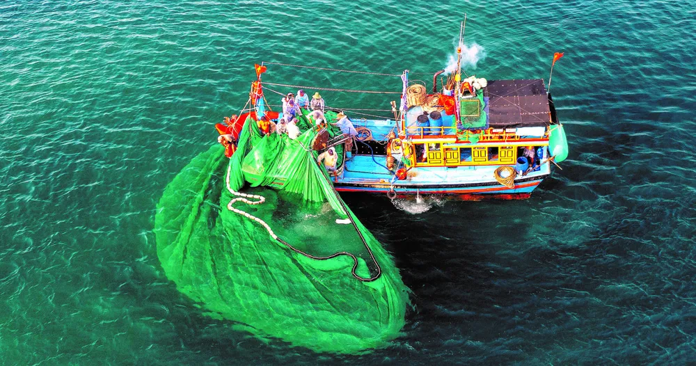 Ứng dụng công nghệ số giúp ngư dân làm chủ việc đánh bắt trên biển. Ảnh: ĐẶNG VĂN HẢI Ứng dụng công nghệ số giúp ngư dân làm chủ việc đánh bắt trên biển. Ảnh: ĐẶNG VĂN HẢI