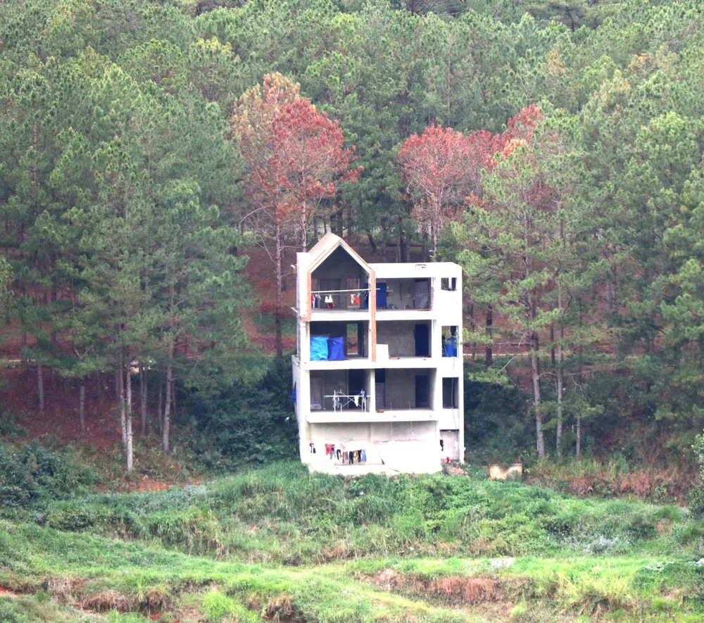 Những cây thông ba lá chết khô bên cạnh công trình biệt thự tại dự án Khu nghỉ dưỡng khách sạn - resort Lạc Hồng Những cây thông ba lá chết khô bên cạnh công trình biệt thự tại dự án Khu nghỉ dưỡng khách sạn - resort Lạc Hồng