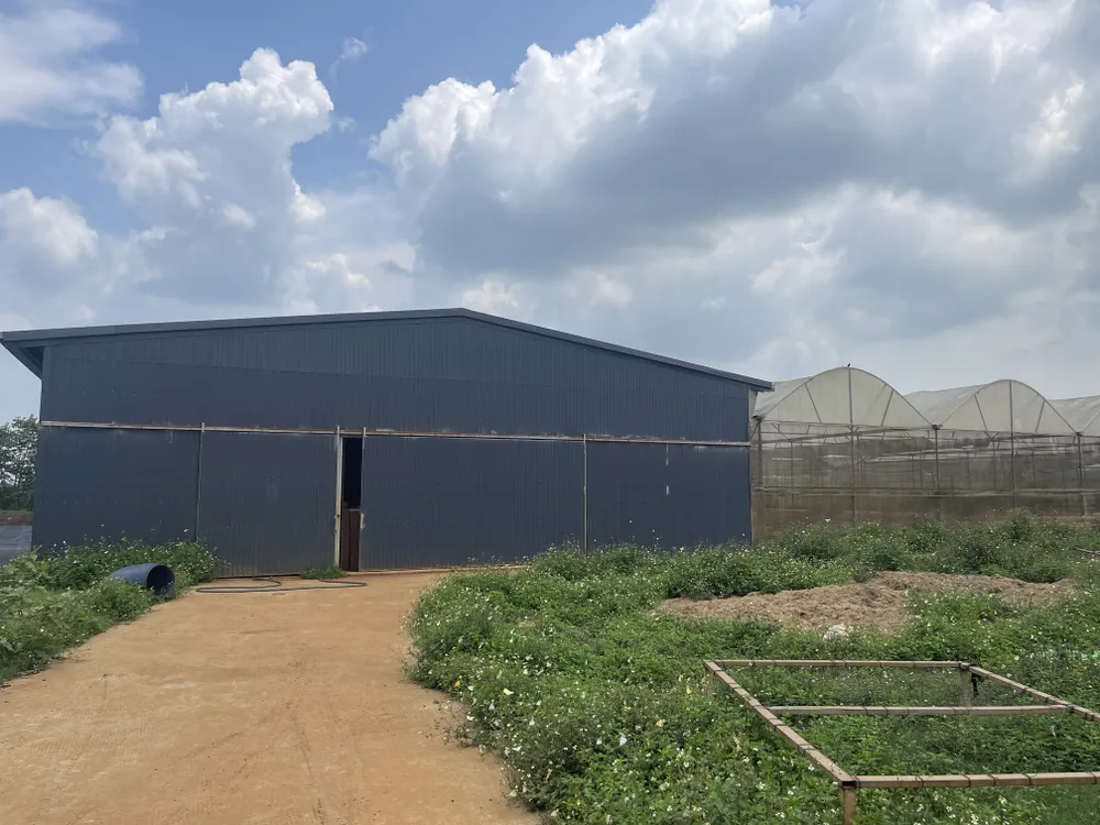 Nhất Thống đầu tư khoảng 130 tỷ đồng hệ thống nông nghiệp công nghệ cao