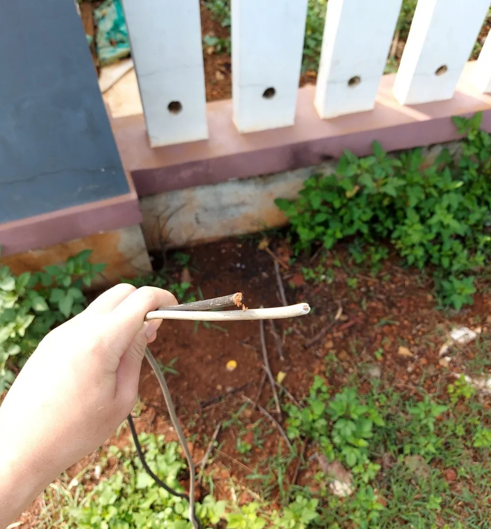 Dây diện nhà người dân ở xã Minh Hưng, huyện Bù Đăng bị cắt trộm Dây diện nhà người dân ở xã Minh Hưng, huyện Bù Đăng bị cắt trộm