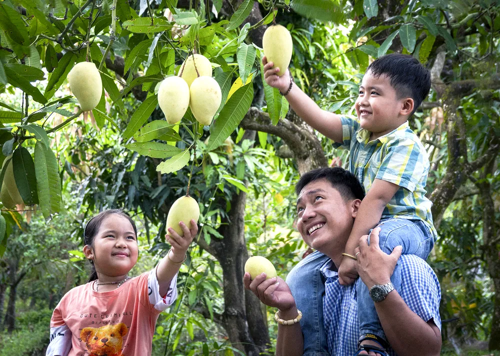 Các bạn nhỏ thích thú tham quan vườn trái cây tại Đồng Tháp Các bạn nhỏ thích thú tham quan vườn trái cây tại Đồng Tháp