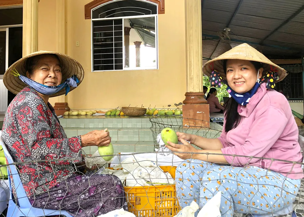 Xoài trúng mùa, được giá, nhà vườn tại Đồng Tháp phấn khởi Xoài trúng mùa, được giá, nhà vườn tại Đồng Tháp phấn khởi