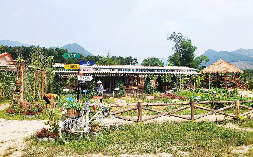 Tháng 7-2021, cô Nga cùng 17 học viên khuyết tật lặn lội lên vùng gò đồi thung lũng Phước Mỹ (ngoại ô TP Quy Nhơn) để xây dựng Vườn tái chế - NNC Tháng 7-2021, cô Nga cùng 17 học viên khuyết tật lặn lội lên vùng gò đồi thung lũng Phước Mỹ (ngoại ô TP Quy Nhơn) để xây dựng Vườn tái chế - NNC