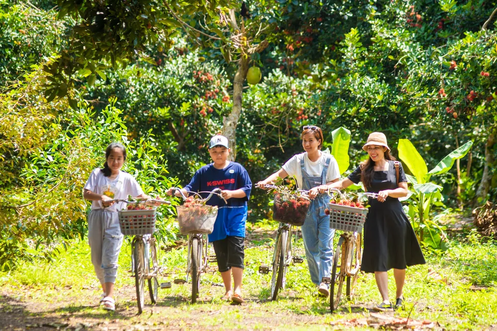 Tham quan vườn trái cây bằng xe đạp là sở thích của nhiều bạn trẻ Tham quan vườn trái cây bằng xe đạp là sở thích của nhiều bạn trẻ