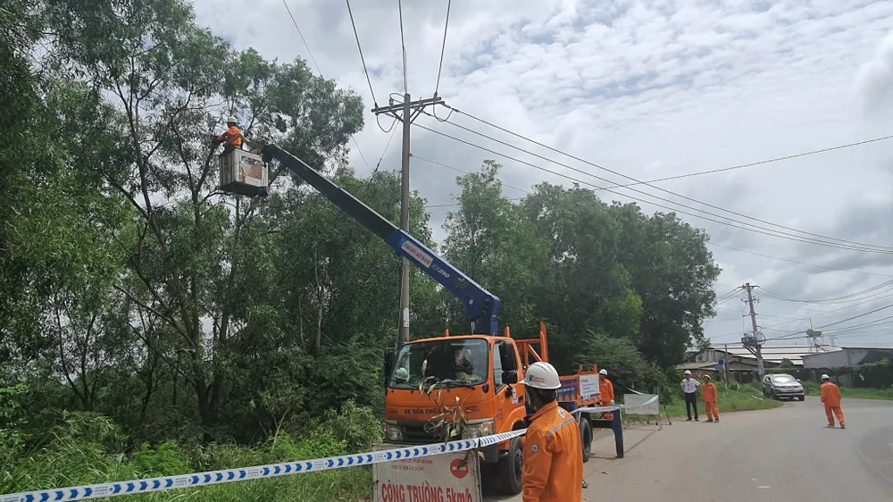 Nhân viên ngành điện TPHCM chủ động kiểm tra an toàn lưới điện trên địa bàn thành phố