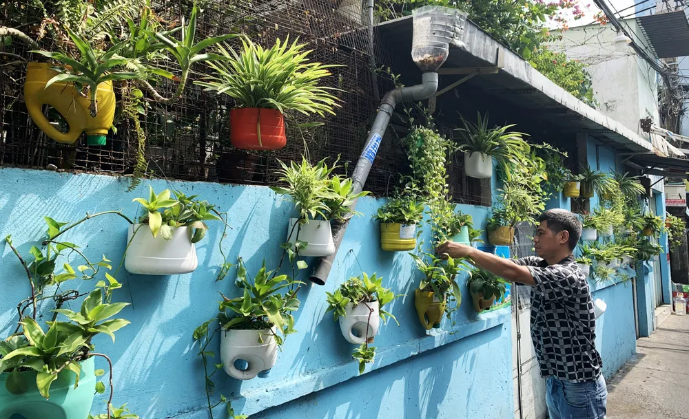 Ông Nguyễn Anh Minh (phường 8, quận 4) dành nhiều thời gian chăm sóc mảng xanh trên tường để tạo không gian sống xanh mát cho bà con xung quanh Ông Nguyễn Anh Minh (phường 8, quận 4) dành nhiều thời gian chăm sóc mảng xanh trên tường để tạo không gian sống xanh mát cho bà con xung quanh