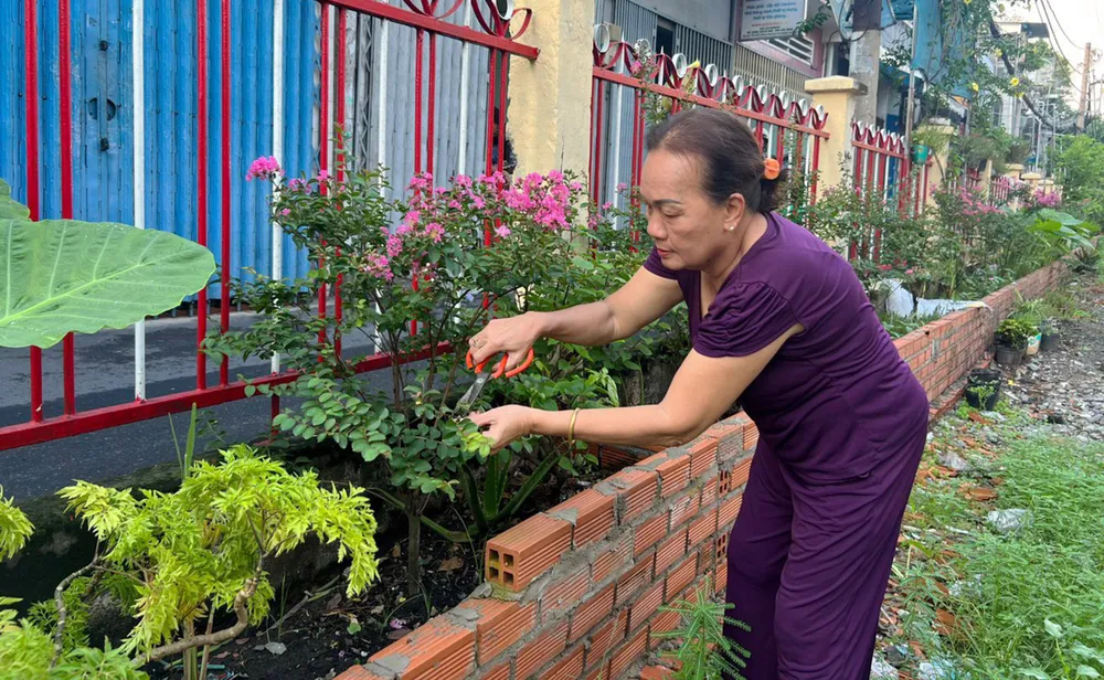 Người dân phường 9, quận Phú Nhuận chăm sóc cây trồng để làm đẹp dọc tuyến đường sắt và môi trường sống Người dân phường 9, quận Phú Nhuận chăm sóc cây trồng để làm đẹp dọc tuyến đường sắt và môi trường sống