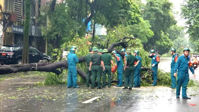 Lực lượng quân đội và dân quân tự vệ thu dọn cây đổ trên phố Bà Triệu. Ảnh: QUỐC KHÁNH