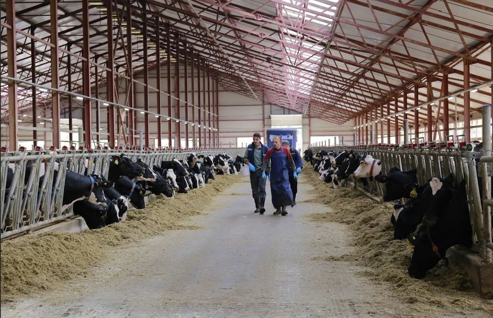 Sữa tươi TH true MILK sản xuất tại Nga sử dụng nguyên liệu chế biến hoàn toàn từ nguồn sữa tươi chất lượng hàng đầu của các trang trại công nghệ cao TH tại tỉnh Moscow và Kaluga th3.jpg