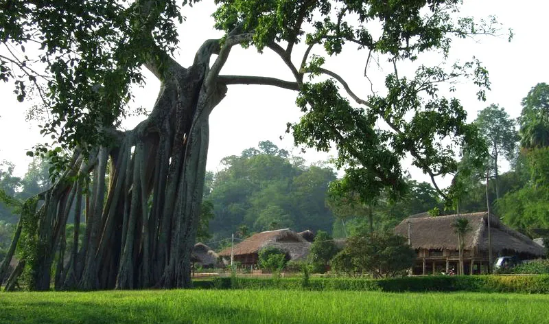 Một góc Tân Trào hôm nay Một góc Tân Trào hôm nay