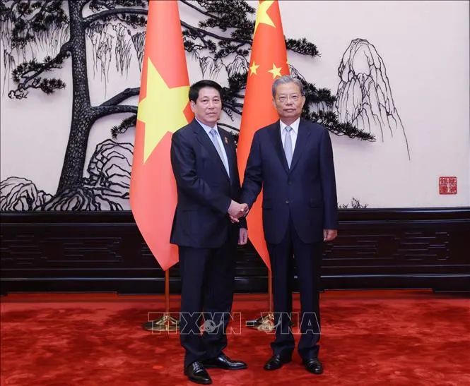 Chủ tịch nước Lương Cường hội kiến Ủy viên trưởng Nhân đại toàn quốc Trung Quốc Triệu Lạc Tế. Ảnh: Lâm Khánh/TTXVN LUONGCUONG.jpg