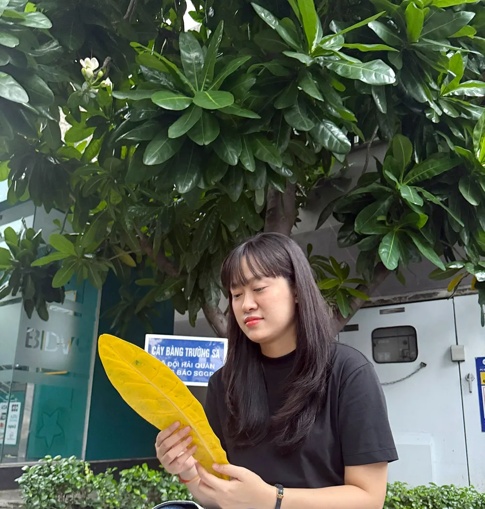 Dưới bóng cây bàng vuông trước Tòa nhà văn hóa nghiệp vụ Báo SGGP. Ảnh: DŨNG PHƯƠNG anhthu1.jpg