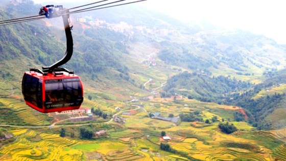 Muong Hoa Valley in ripe rice season