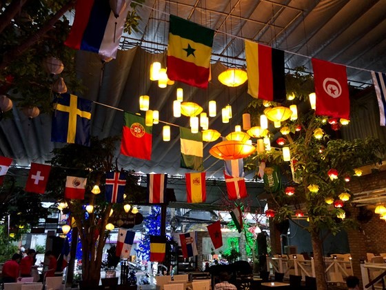 VIDEO: Activities celebrate 2018 World Cup  ảnh 4