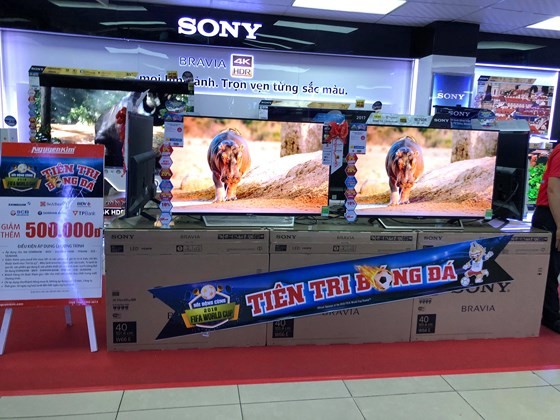 VIDEO: Activities celebrate 2018 World Cup  ảnh 1