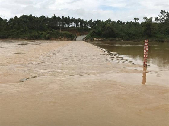 many fectares of rice is flooded by heavy rains in Nghe An province