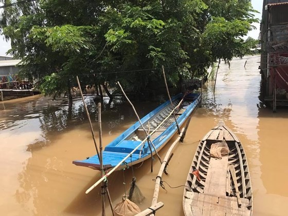 Mekong water levels to peak at 4.2m on September 25