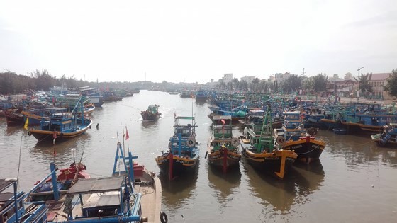 Binh Thuan’s fishermen sailing back to sea after typhoon ảnh 1 Binh Thuan’s fishermen sailing back to sea after typhoon ảnh 1