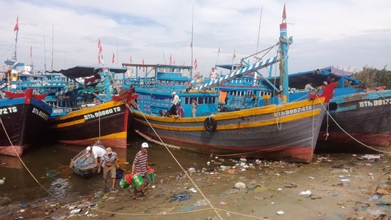 Binh Thuan’s fishermen sailing back to sea after typhoon ảnh 2 Binh Thuan’s fishermen sailing back to sea after typhoon ảnh 2
