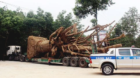 Bộ GTVT chưa phát hiện hành vi tiêu cực