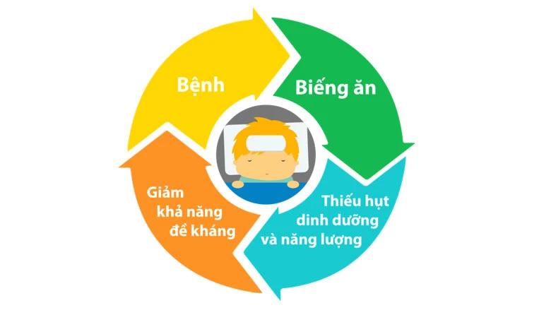 Vòng luẩn quẩn của sự mất cân bằng dinh dưỡng