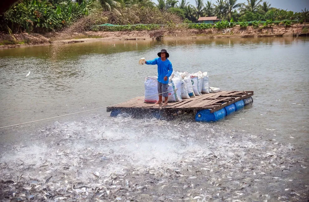 MM Mega Market Việt Nam đẩy mạnh xuất khẩu nông sản Việt sang Thái ảnh 1 MM Mega Market Việt Nam đẩy mạnh xuất khẩu nông sản Việt sang Thái ảnh 1