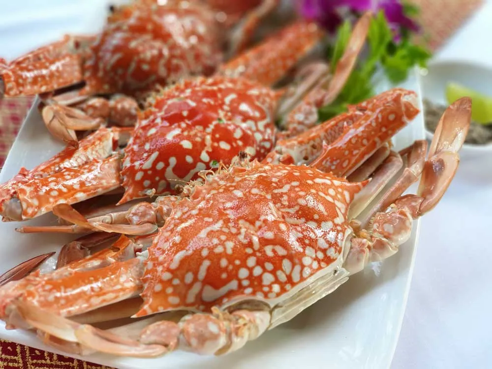 Lữ hành Saigontourist chào tour Côn Đảo bằng tàu cao tốc hiện đại ảnh 4 Lữ hành Saigontourist chào tour Côn Đảo bằng tàu cao tốc hiện đại ảnh 4