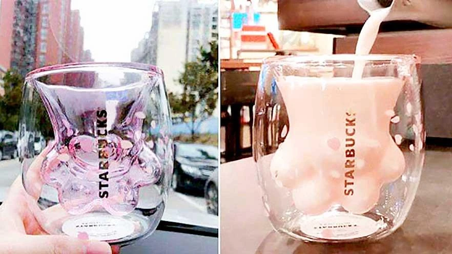 Giới trẻ Trung Quốc cuồng ly chân mèo Starbucks