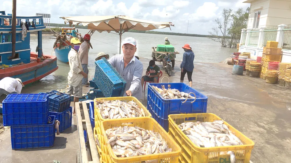 Nhanh chóng khai thác cơ hội từ EVFTA ảnh 1 Nhanh chóng khai thác cơ hội từ EVFTA ảnh 1