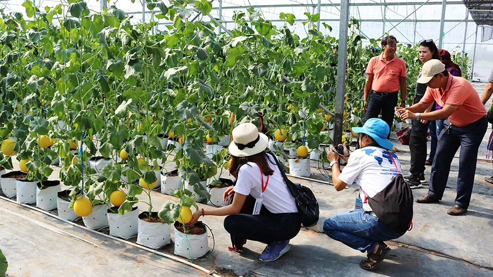 Đồng Tháp phát triển nông nghiệp công nghệ cao, gắn với du lịch