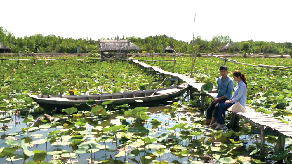 Phim truyền hình: Lạc lối