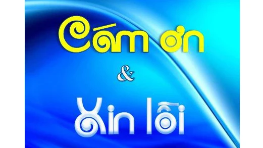 Cảm ơn và xin lỗi