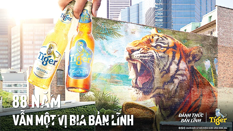 Tiger Beer kỷ niệm 88 năm - Vẫn một vị bia bản lĩnh