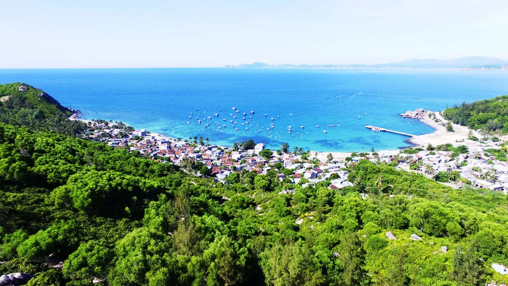 Làng biển Cù Lao Xanh được che chắn bởi một khu rừng lá thấp trước Biển Đông. Ảnh: NGUYỄN DŨNG